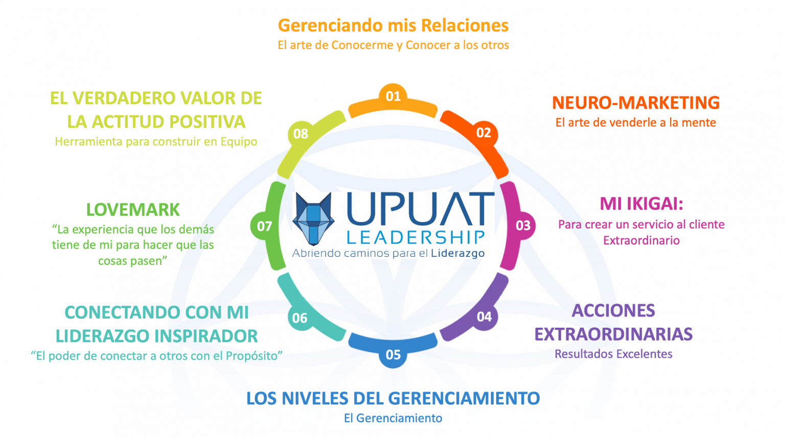 upuat-leadership-niveles-gerenciamiento